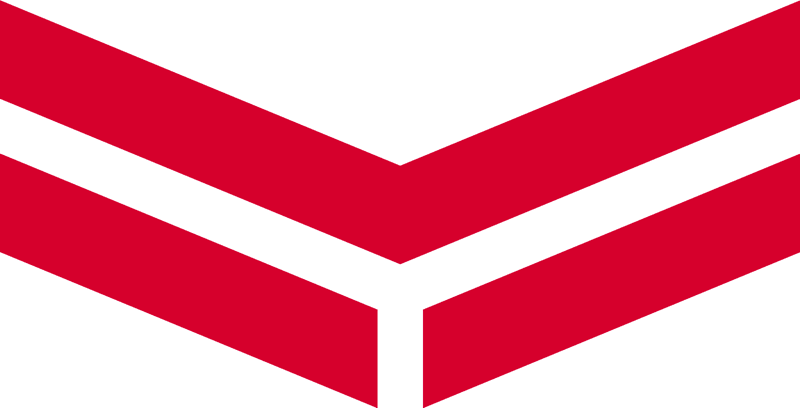 Bg logo